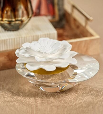 zodax dream porcelain diffuser fig vetiver gingerjar vancouver