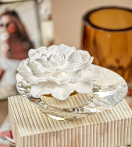 zodax dream porcelain diffuser gardenia gingerjar vancouver